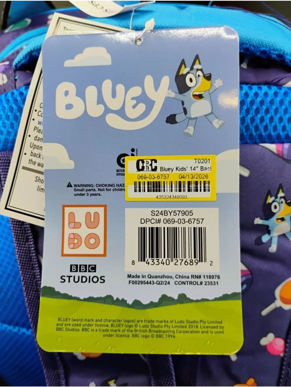 Bluey Kids 14